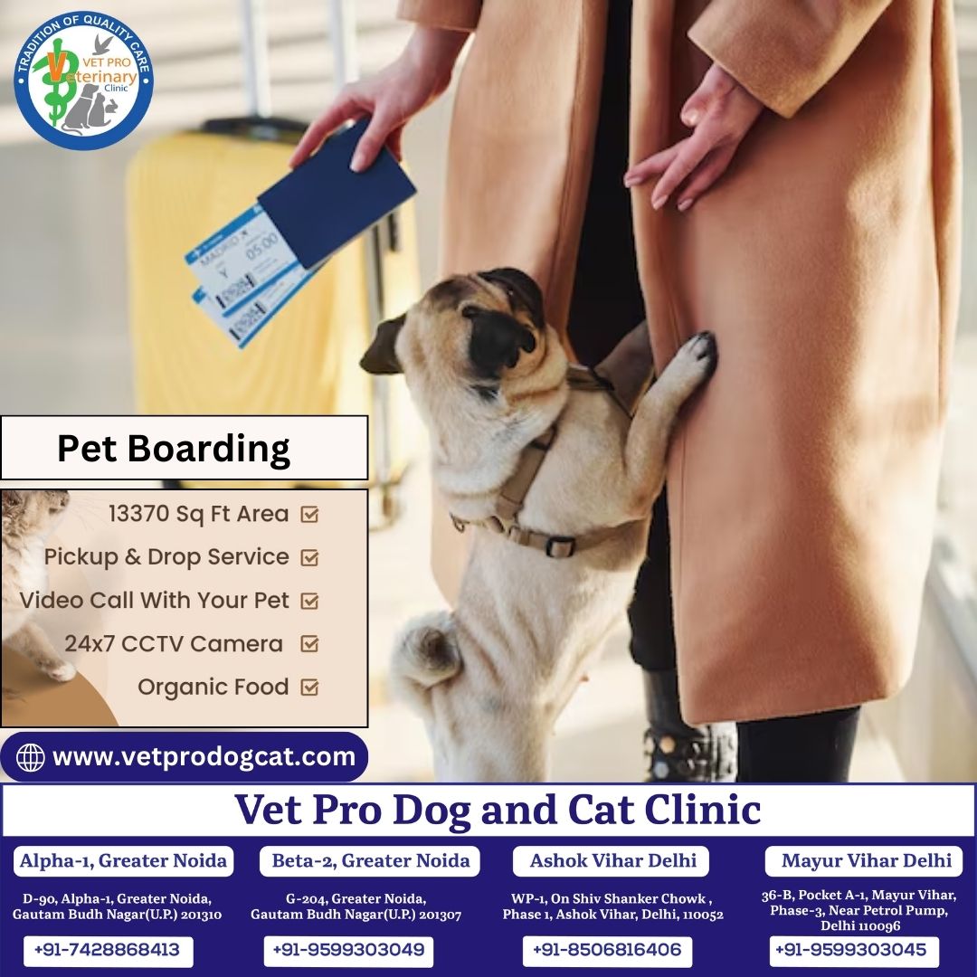 Pet Boarding All facility in Delhi