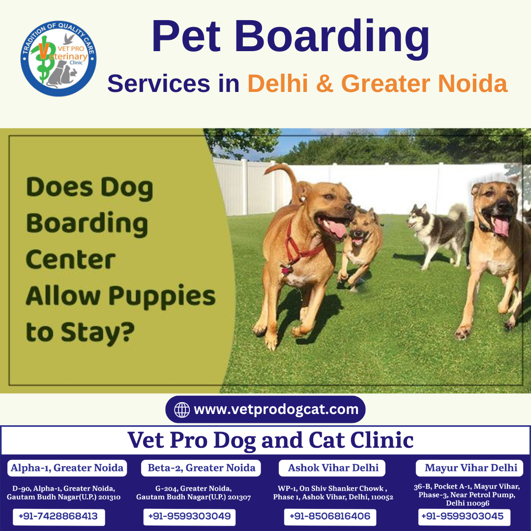 Pet boarding services in Delhi and Greater Noida.