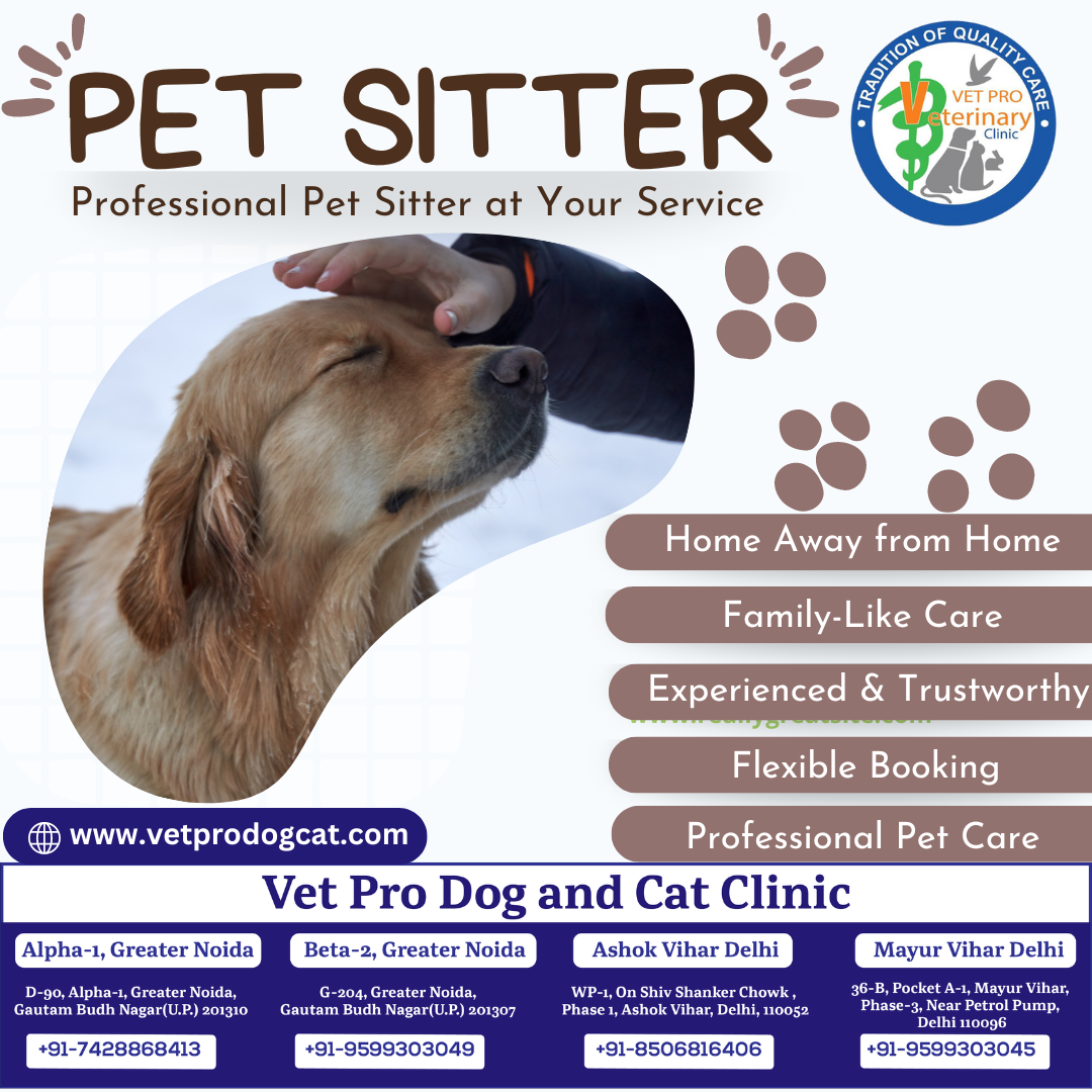 Professional pet sitter at your service in Delhi and Greater Noida.