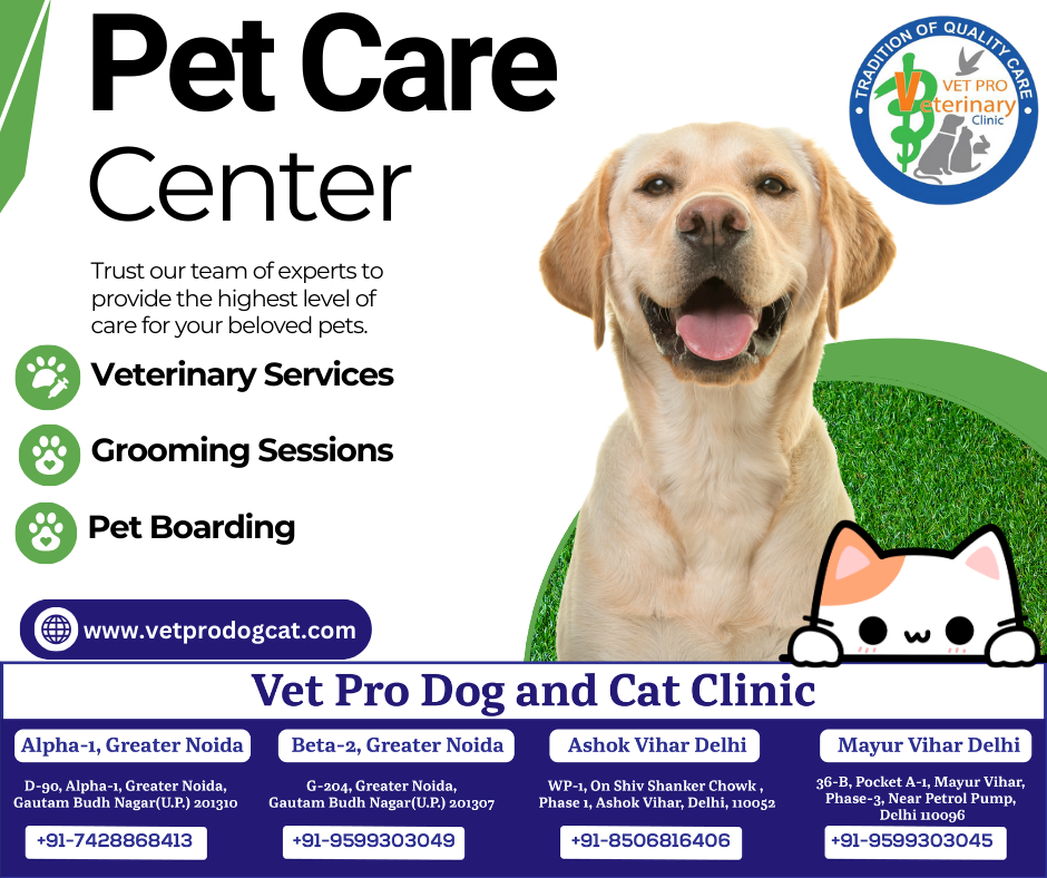 Pet Care Center in Delhi