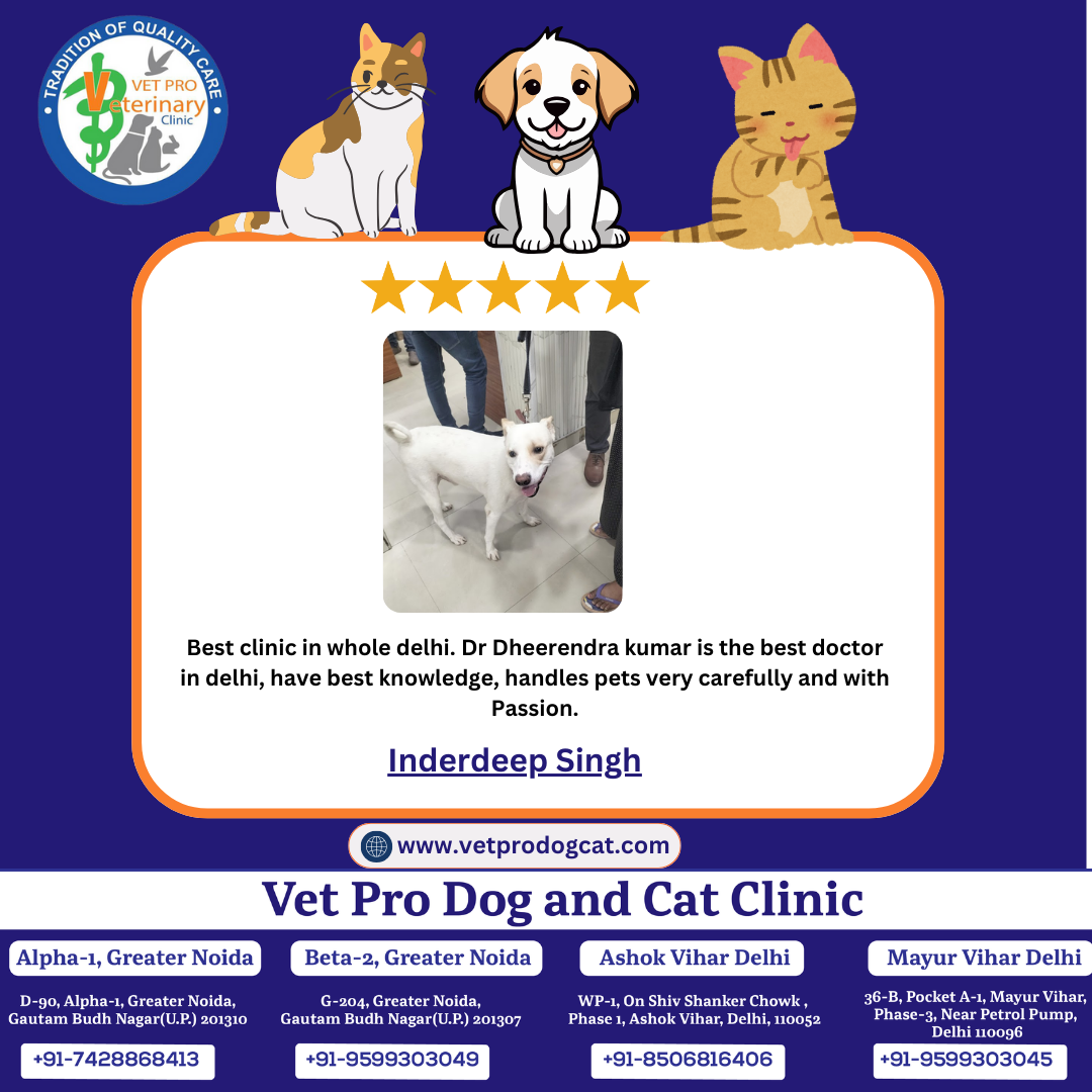 Best pet clinic in whole delhi.