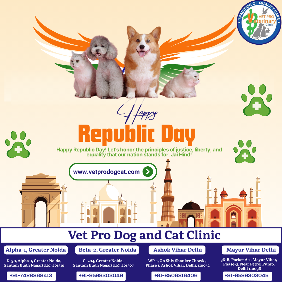 Happy Republic Day with Vet Pro Dog and Cat Clinic