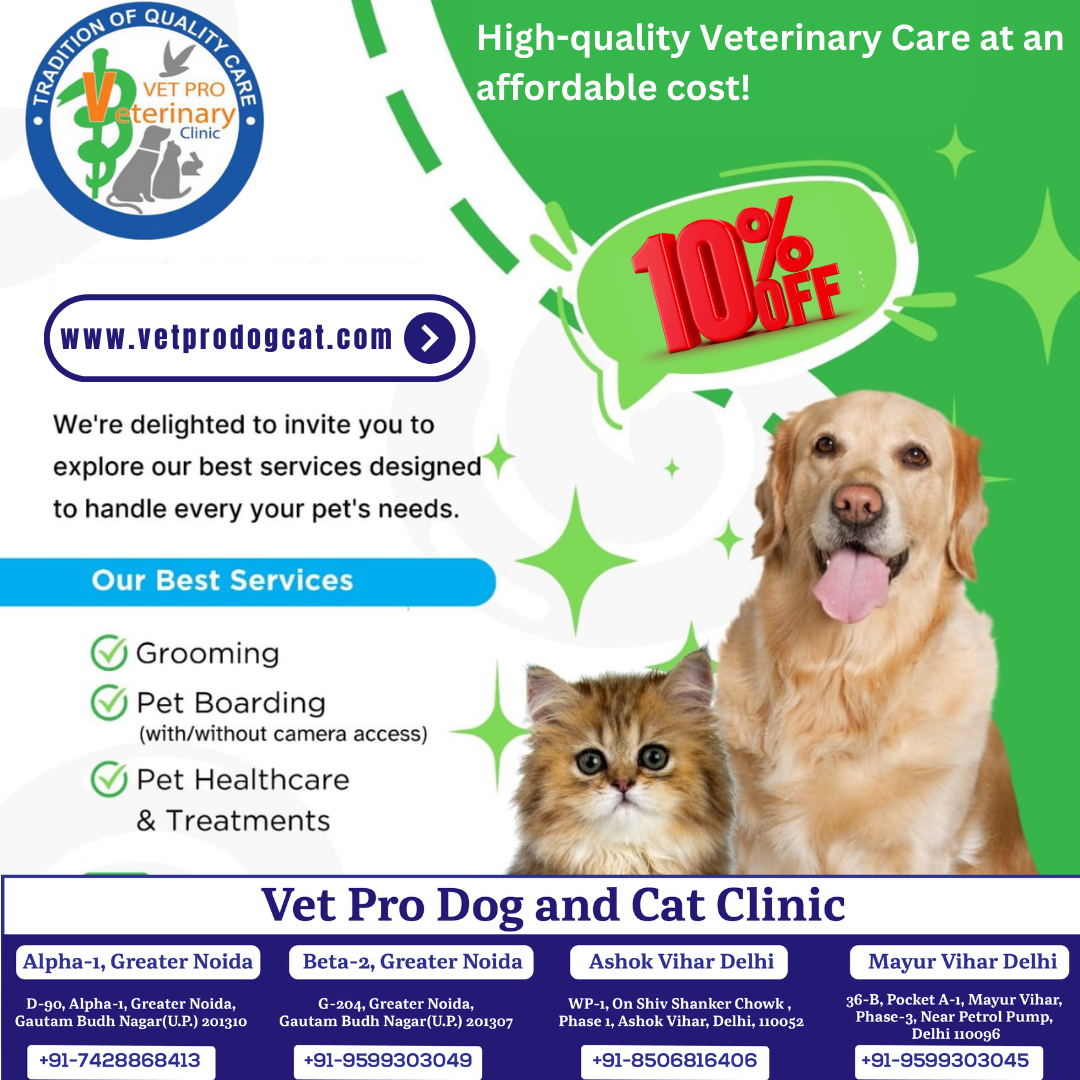 High-quality veterinary care is at an affordable cost!