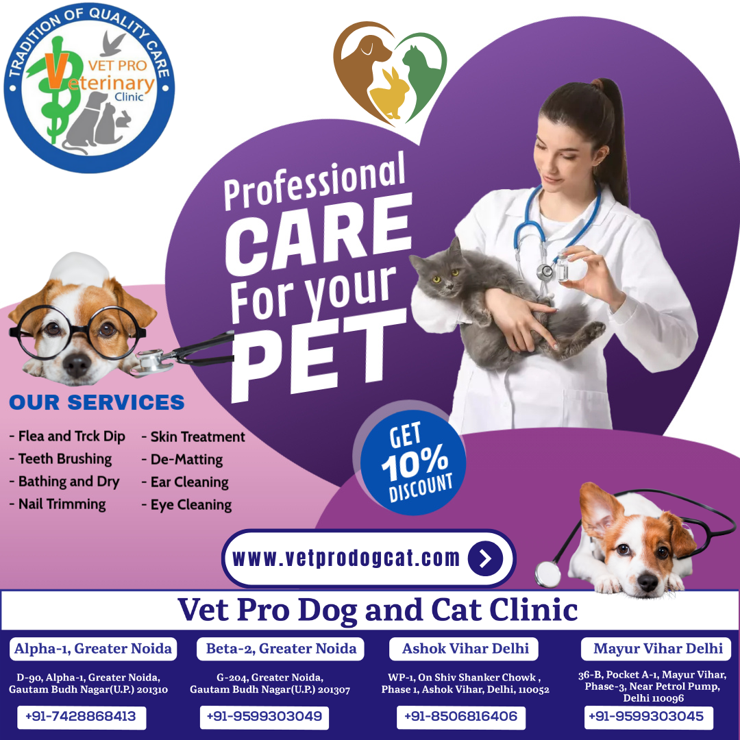 Professional Care For Your Pet