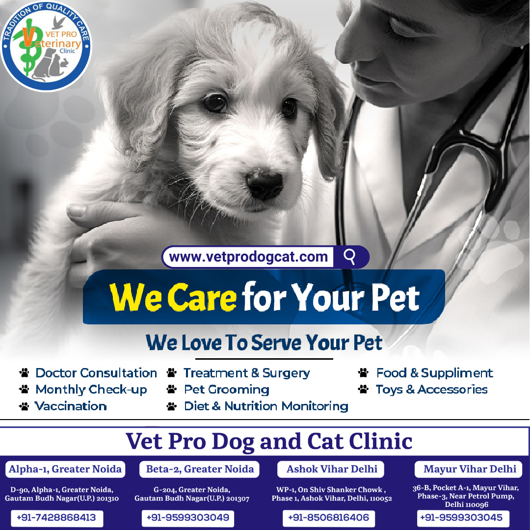 Regular pet care helps your fur baby's health and wellness.