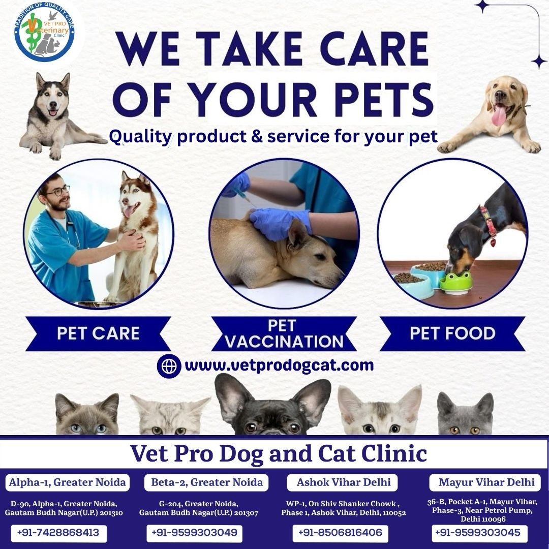 Quality product & service for your pet in Delhi.