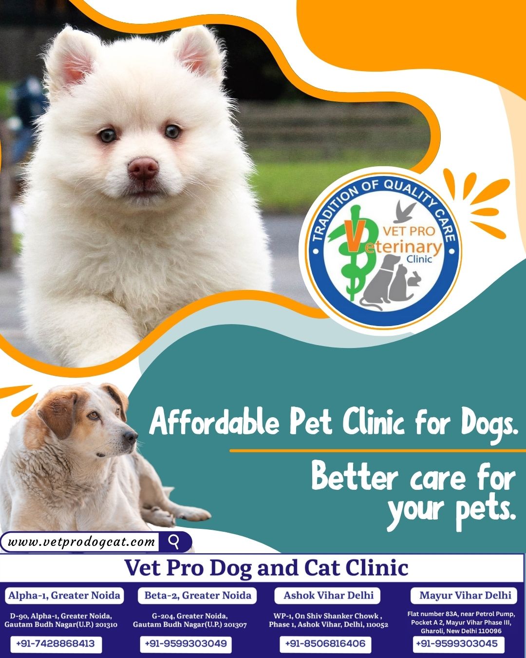 Affordable Pet Clinic for Dogs