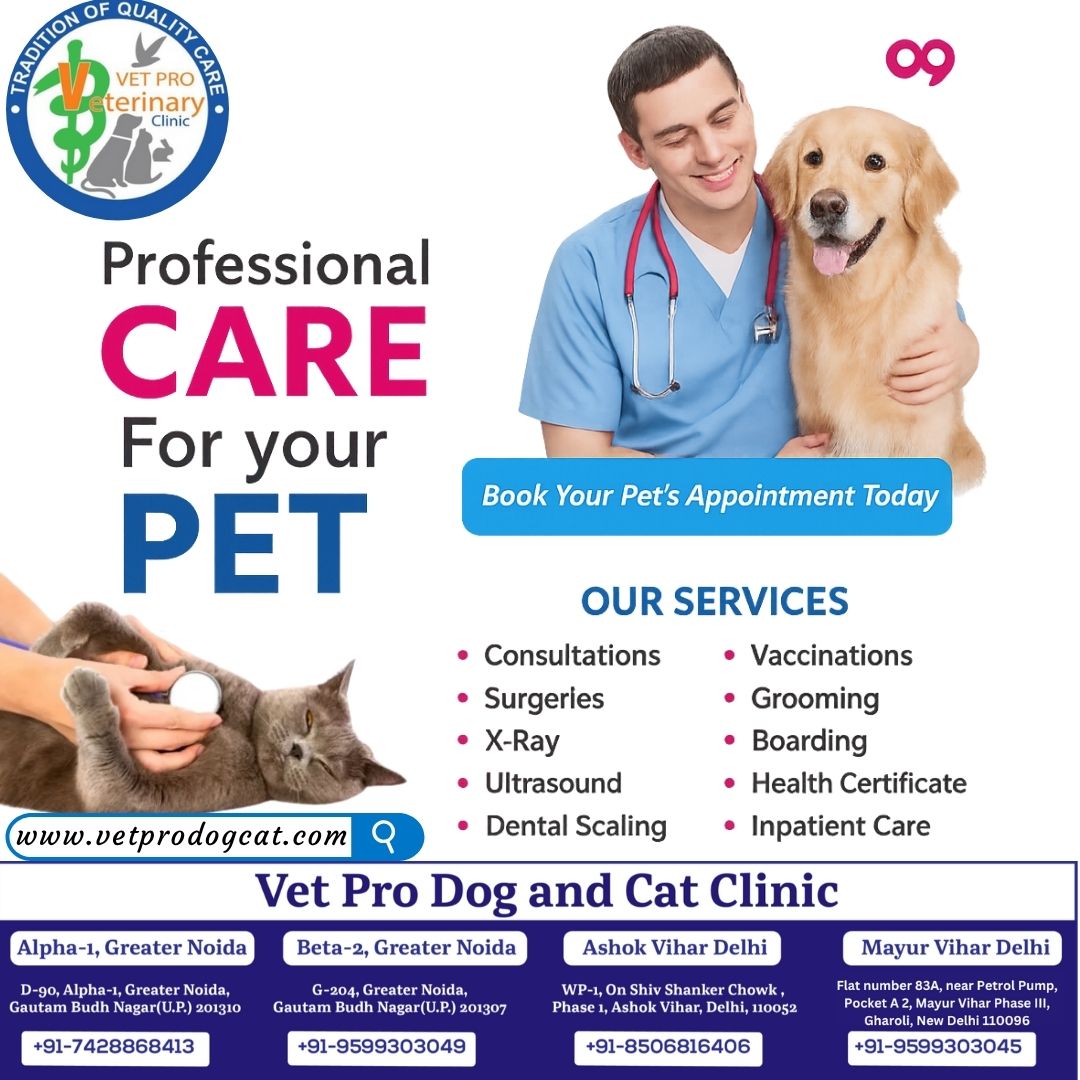 Book Your Pet’s Appointment Today