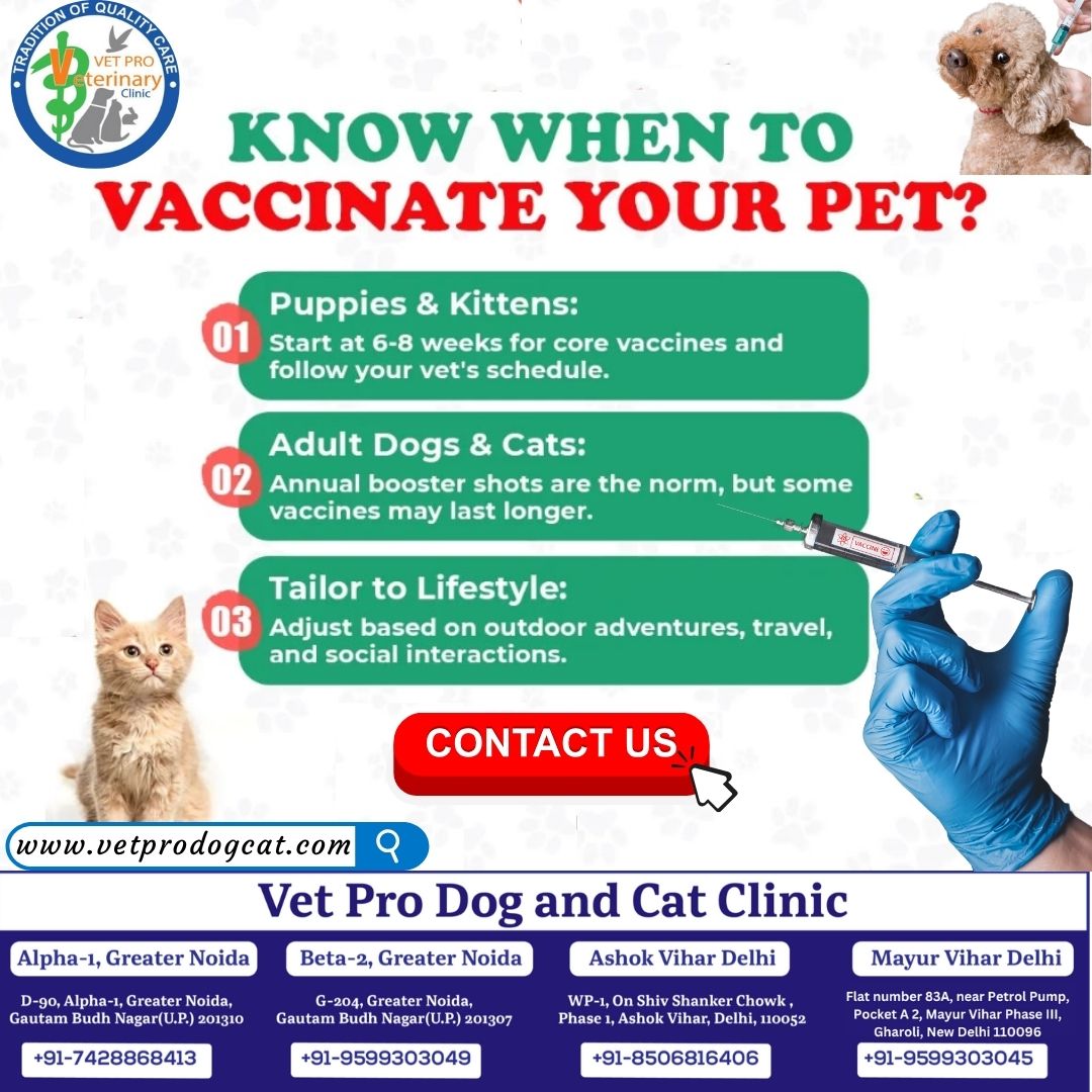 Know When To Vaccinate Your Pet