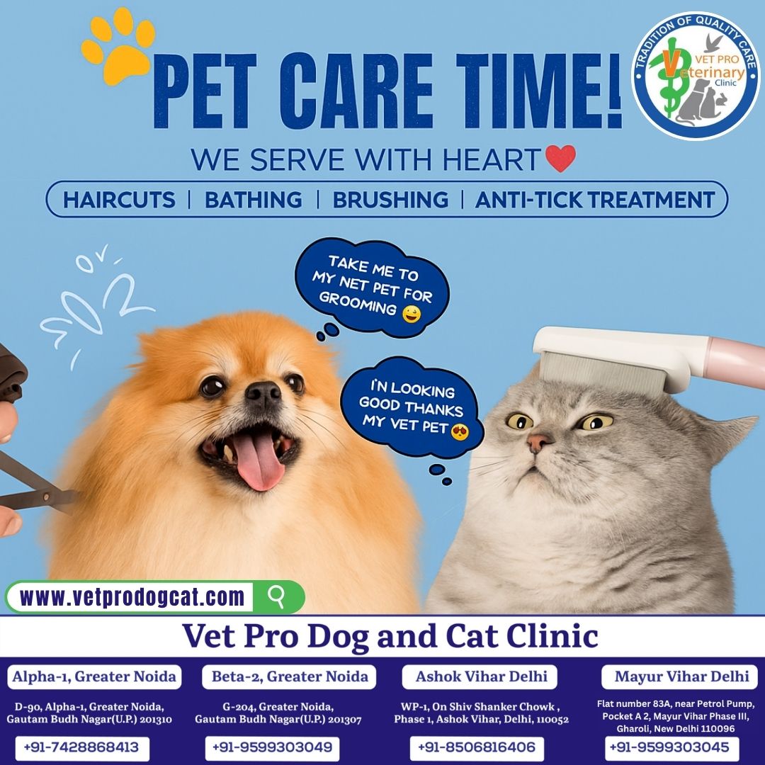 Pet Care Time, We Serve with Heart