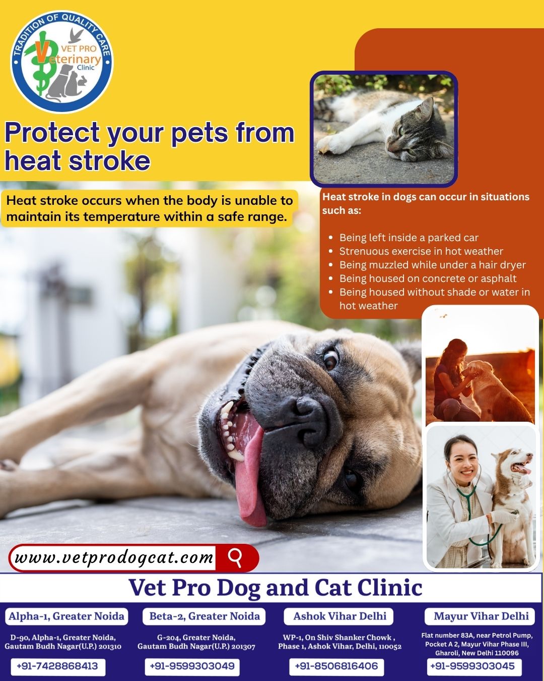 Protect your pets from heat stroke
