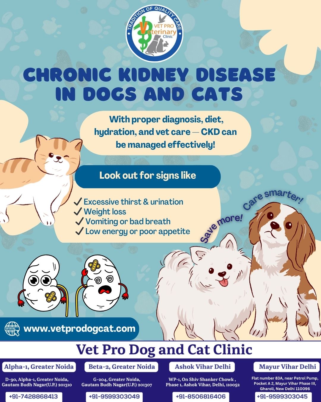 If you are looking for the treatment of Chronic Kidney Disease in dogs and cats then you must consult with Vet Pro Dog Cat Clinic,
