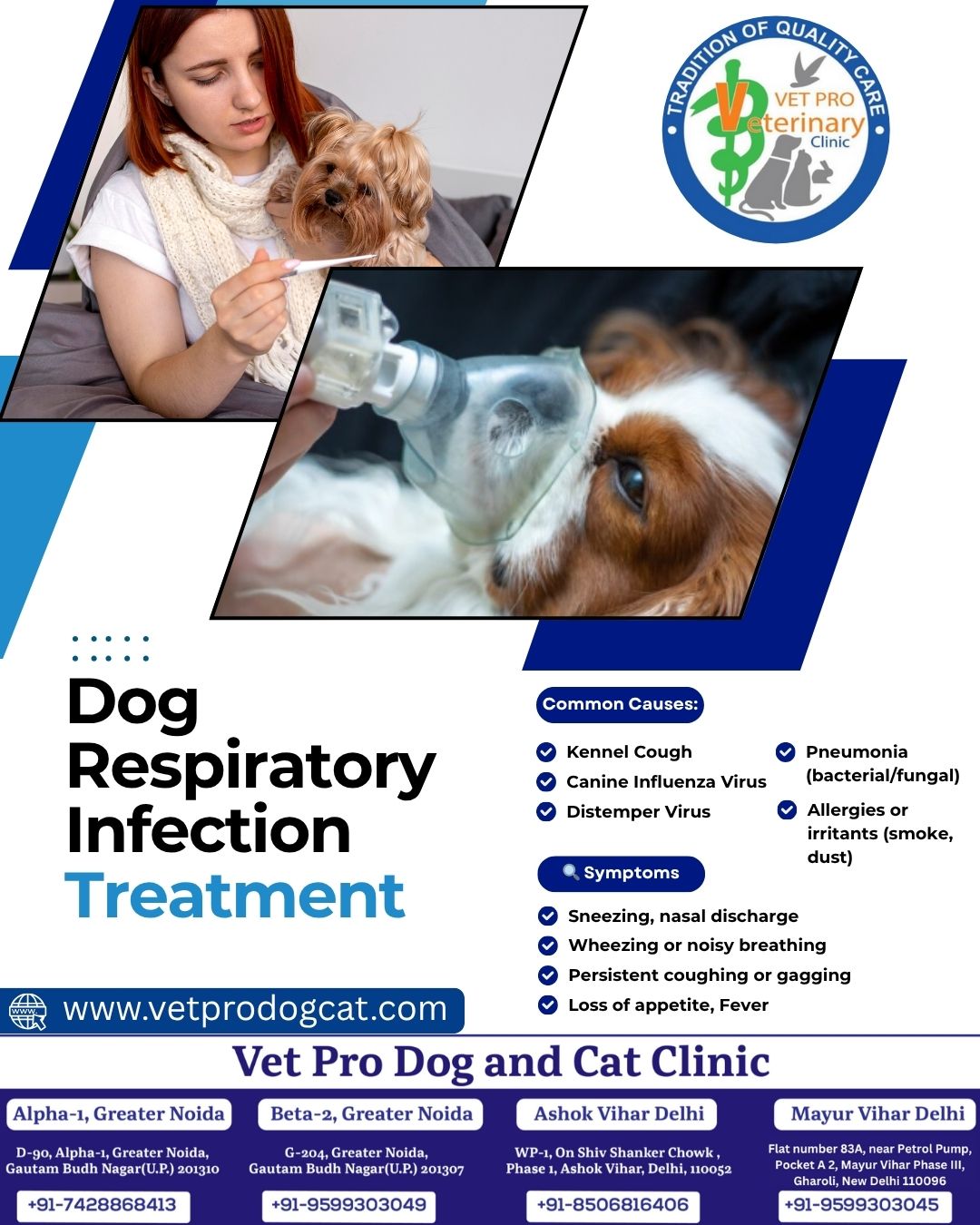 Dog Respiratory Infection Treatment