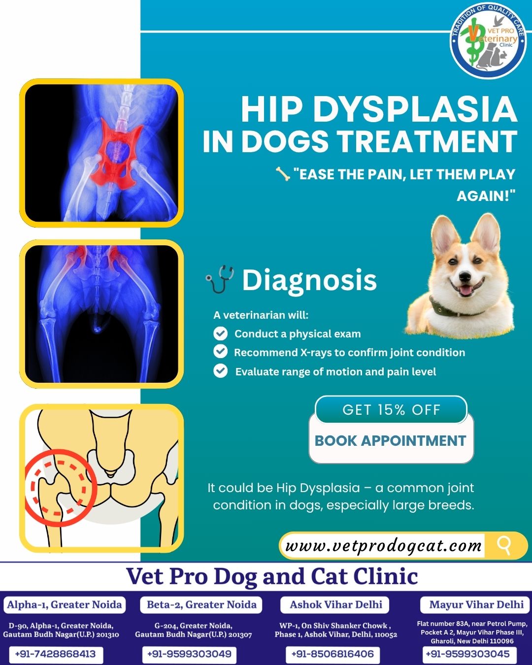 Hip Dysplasia in Dogs Treatment