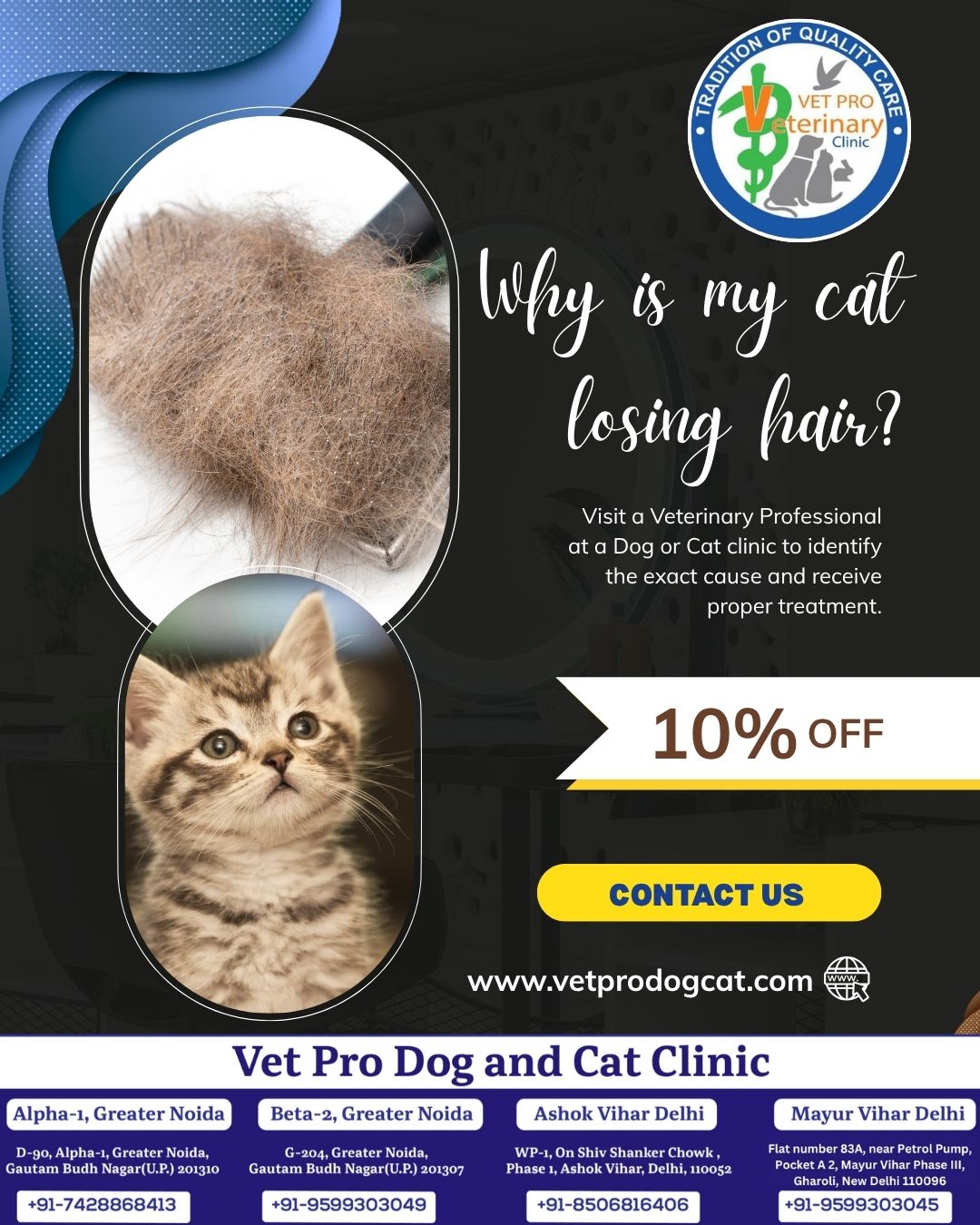 Why is my cat losing hair?