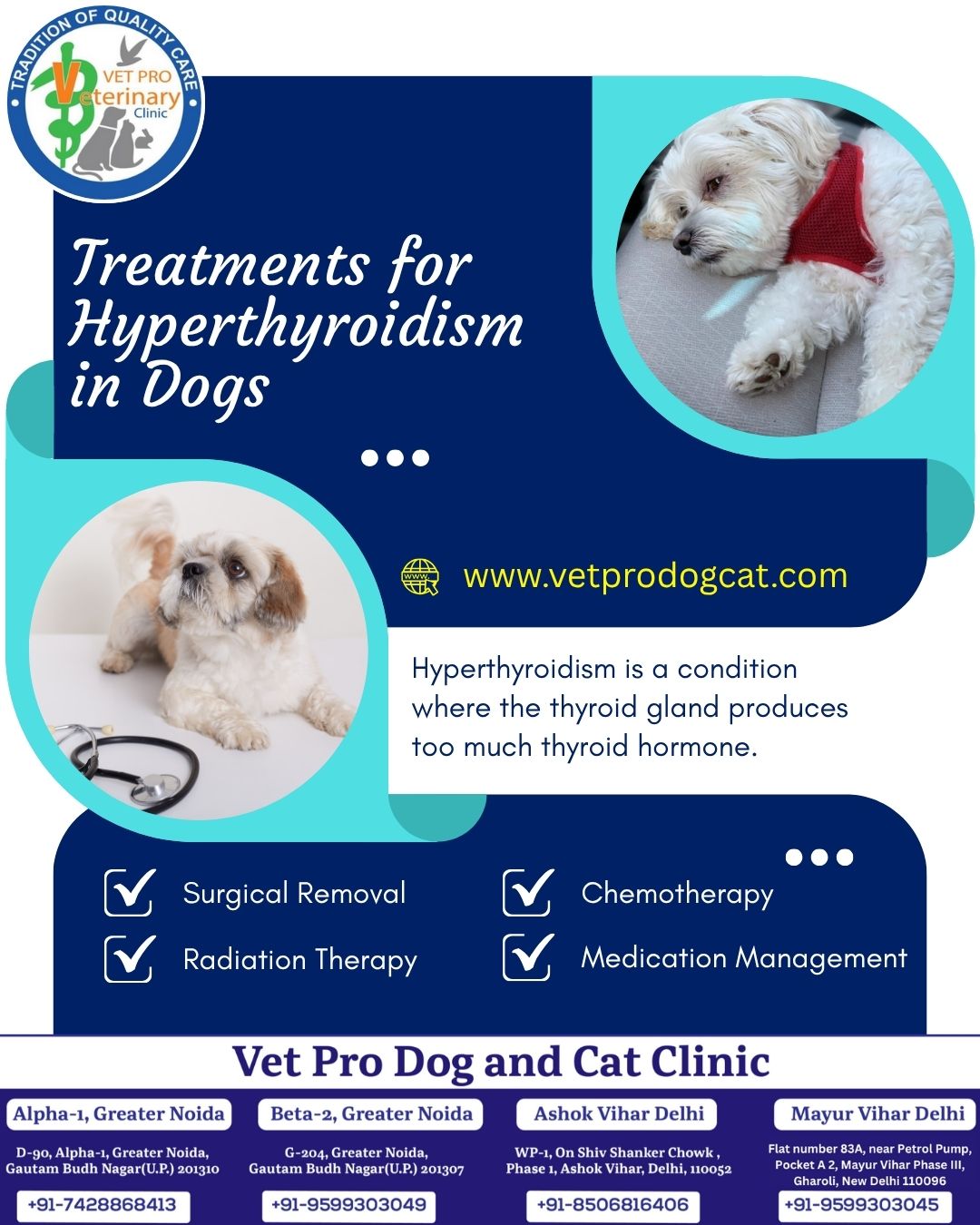 Treatments for Hyperthyroidism in Dogs