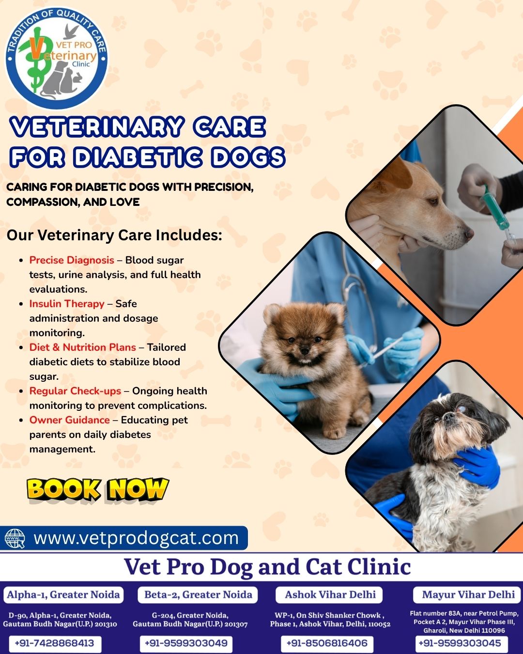 Veterinary Care for Diabetic Dogs
