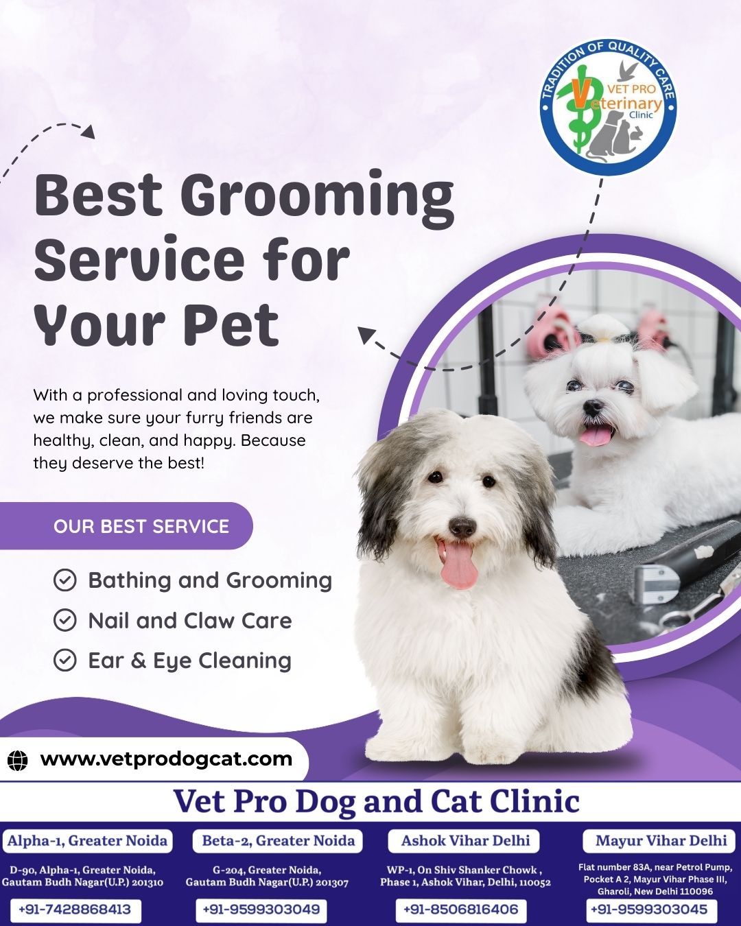 Best Grooming Service for Your Pet