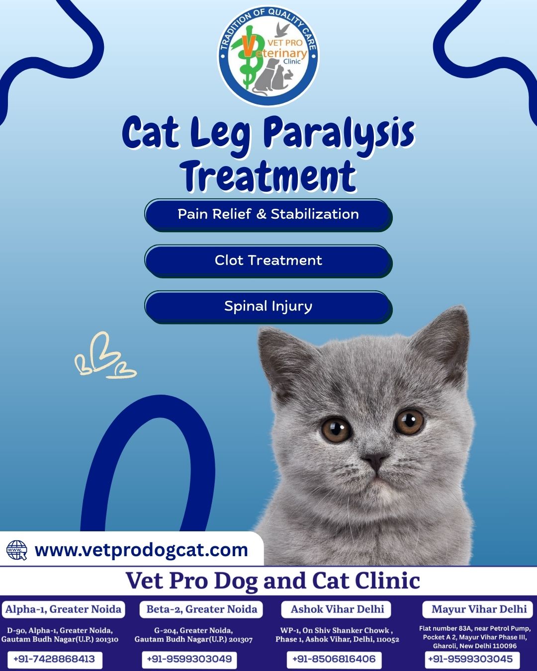 Cat Leg Paralysis Treatment