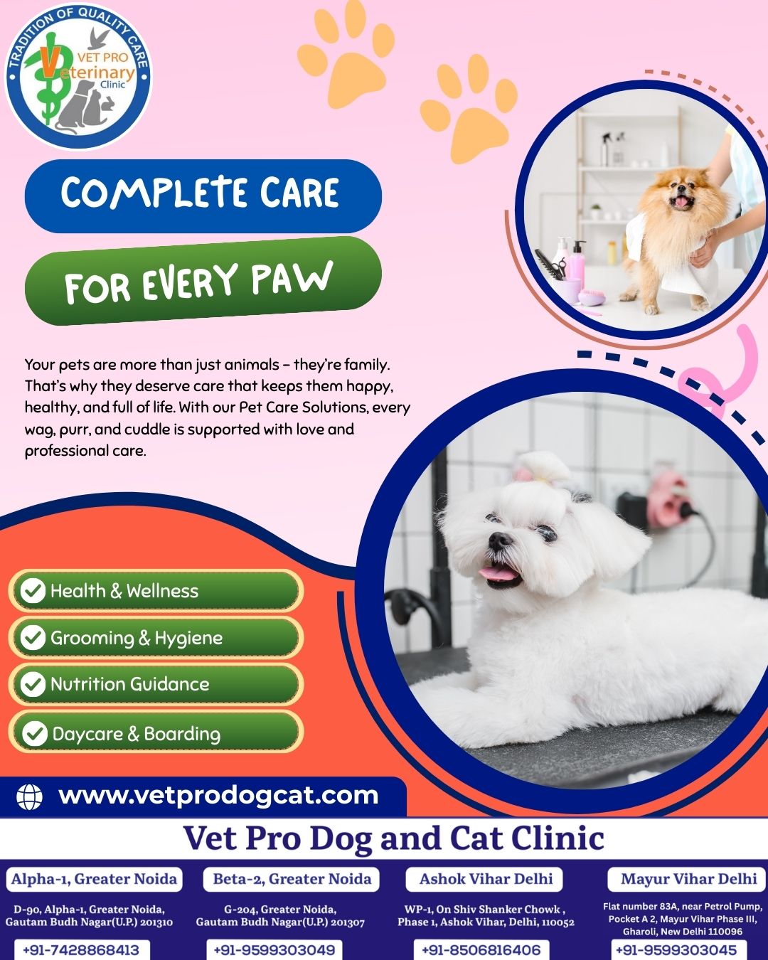 Complete Care For Every Paw