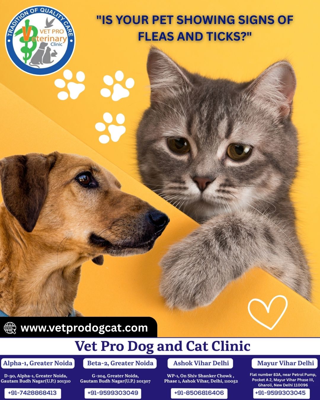 "IS YOUR PET SHOWING SIGNS OF FLEAS AND TICKS?"