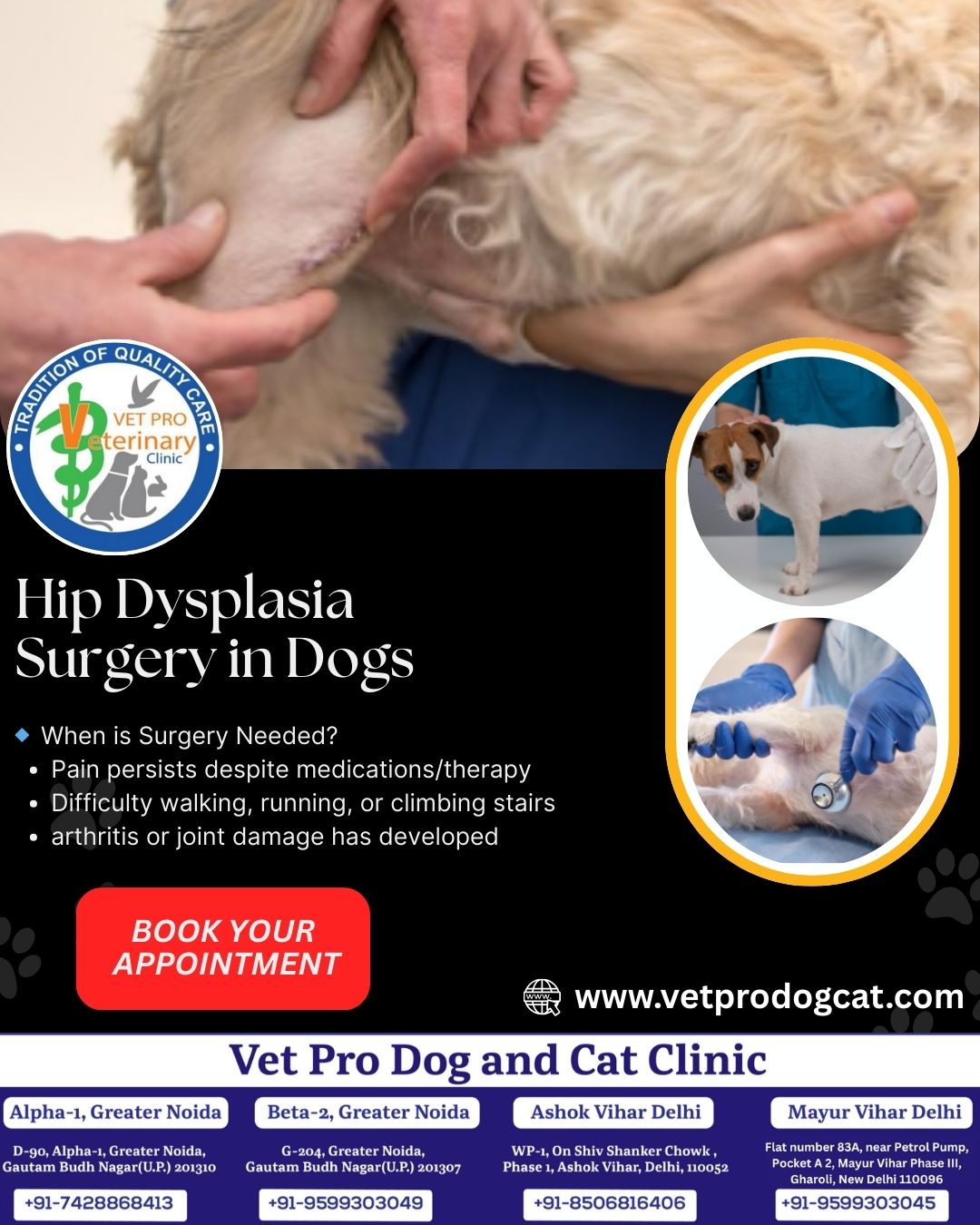 Hip Dysplasia Surgery in Dogs