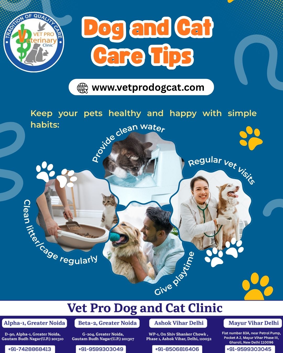 Best clinic for dog treatment