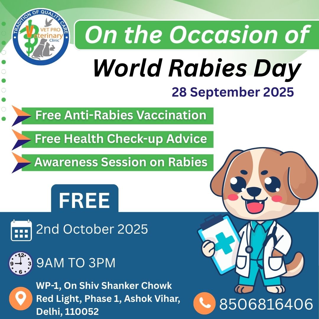 Free Camp on the Occasion of World Rabies Day 2nd October 2025