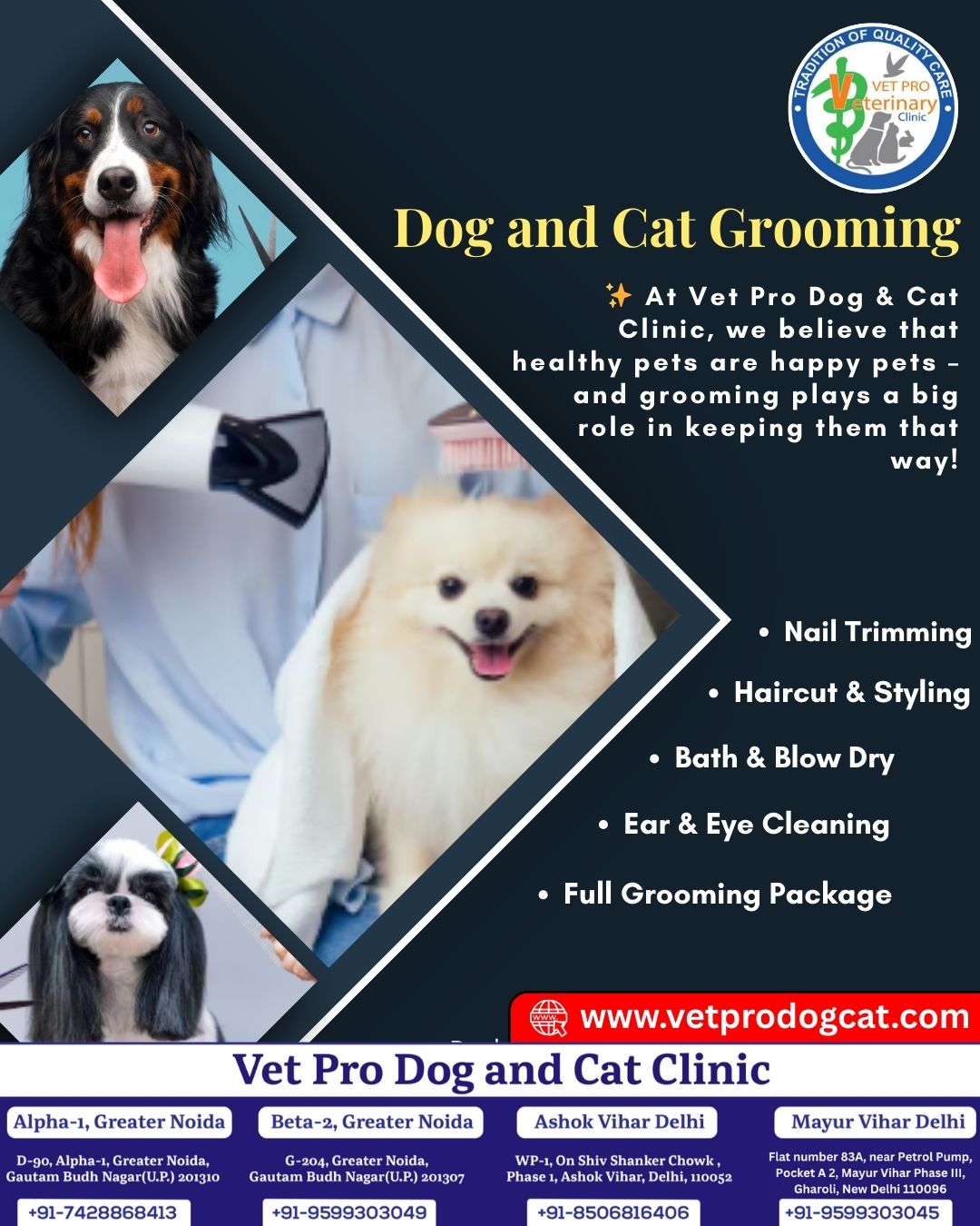 dog and cat grooming near me